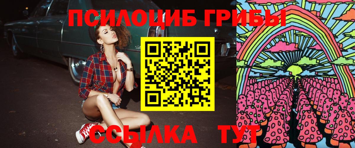 Псилоцибиновые грибы ЛСД  Галлюциногенные грибы мицелий  Тавда  Вход с VPN 